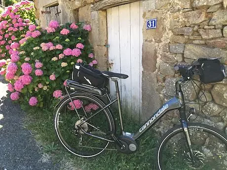 bikebeauty11.jpg