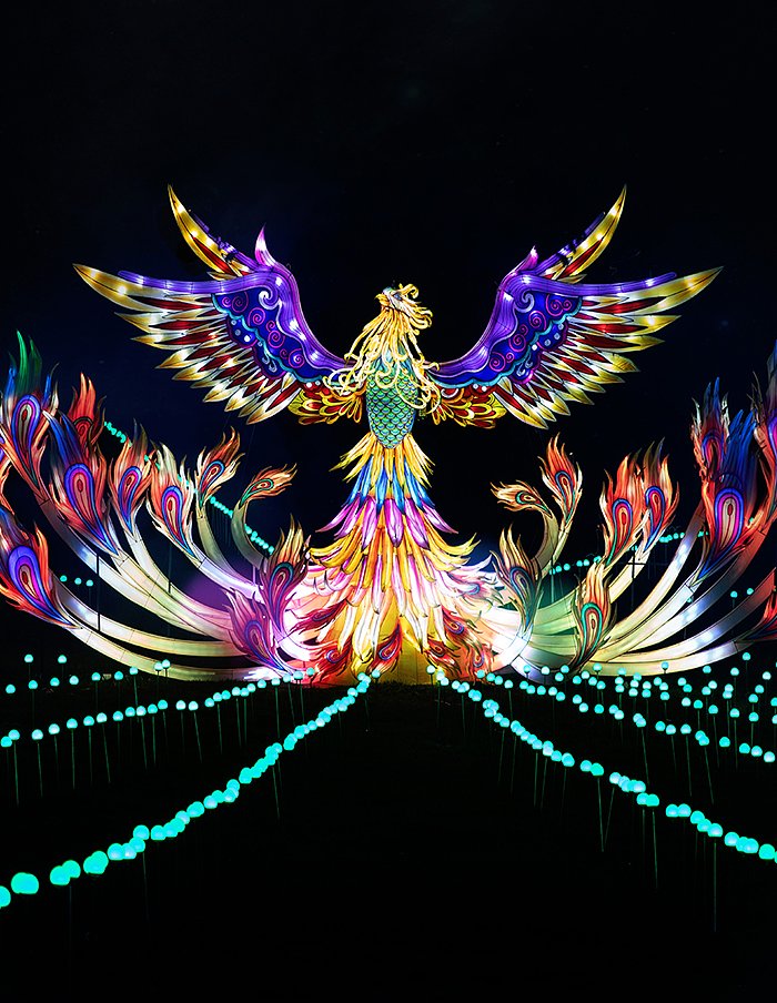 LightopiaImagesBrusselsHdrMOB