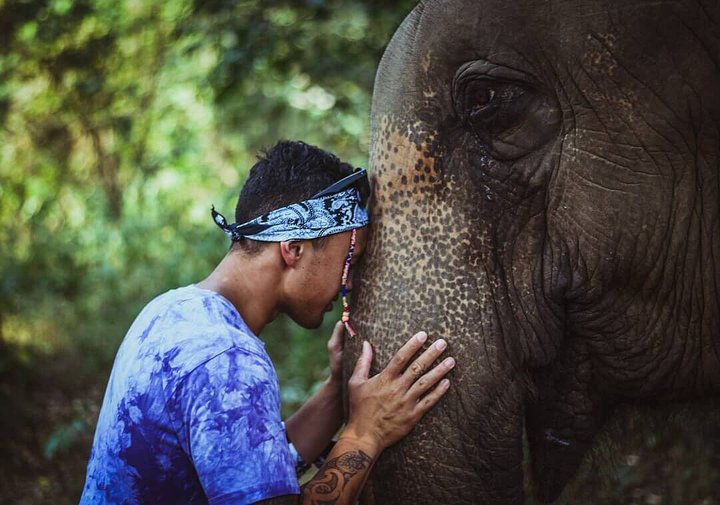 Ethical Elephant Experience