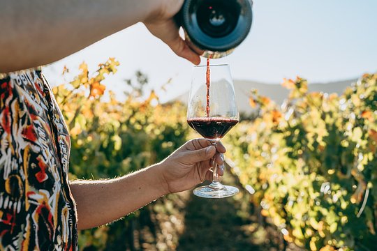 Savor delicious wines in the Leyda Valley region