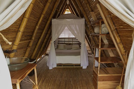 Family Jungle Hut