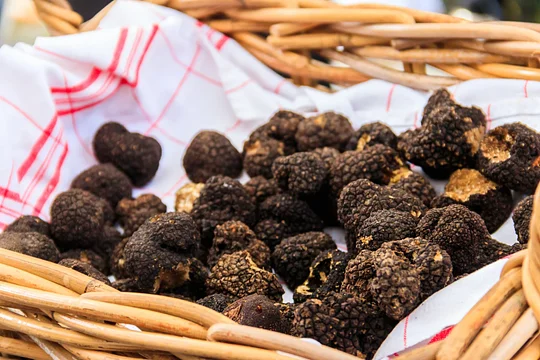 Hunt for truffles before indulging in a tasting paired with fine French wines