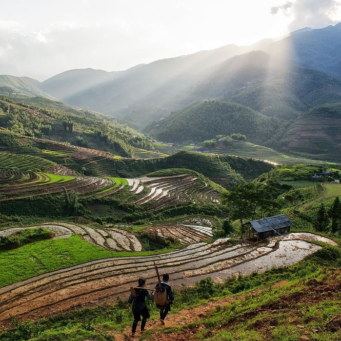 Things to do in Vietnam_visit Sapa Rice Terraces