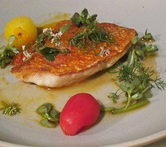 whitefish_3401