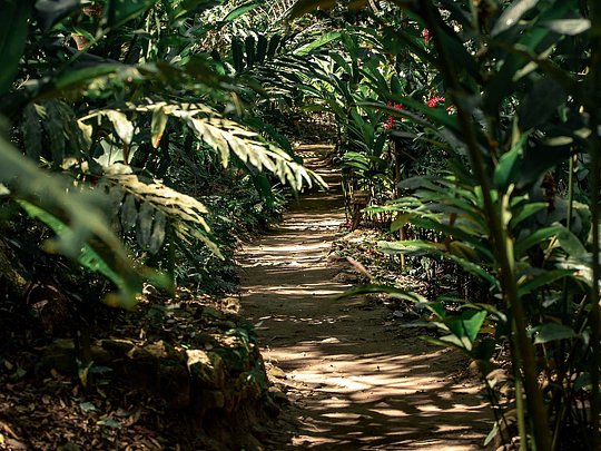 Eco Hagia Sofía Park