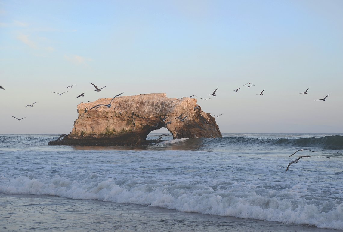 Santa Cruz 