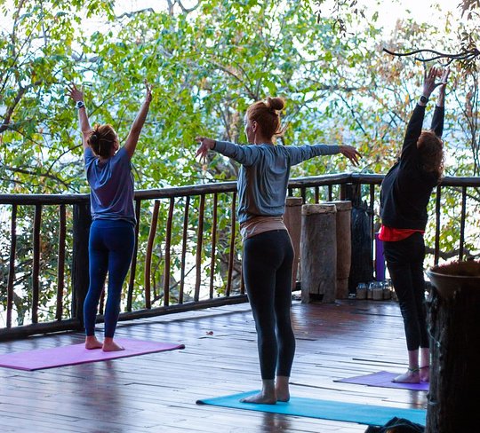 Yoga in the Wild