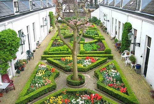 Tour secret flower-infused courtyards in Haarlem