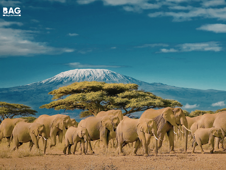 EastAfricaHeroImage