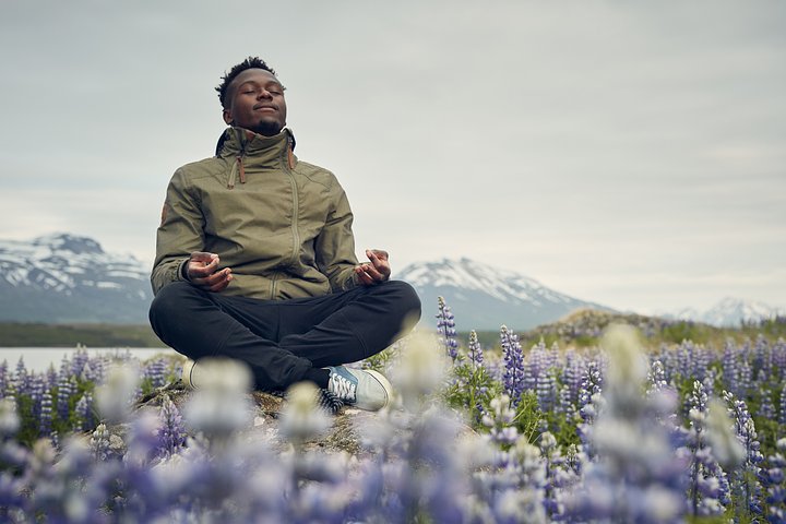 IcelandManmeditatinginafieldofbloominglupines
