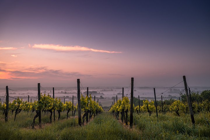 Tuscany03