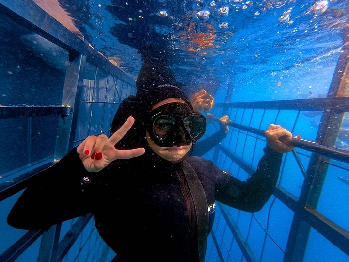 Shark Cage Diving