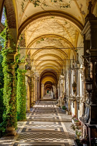 iStock155431547