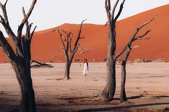 Witness the red Kalahari dunes with an oasis set inside