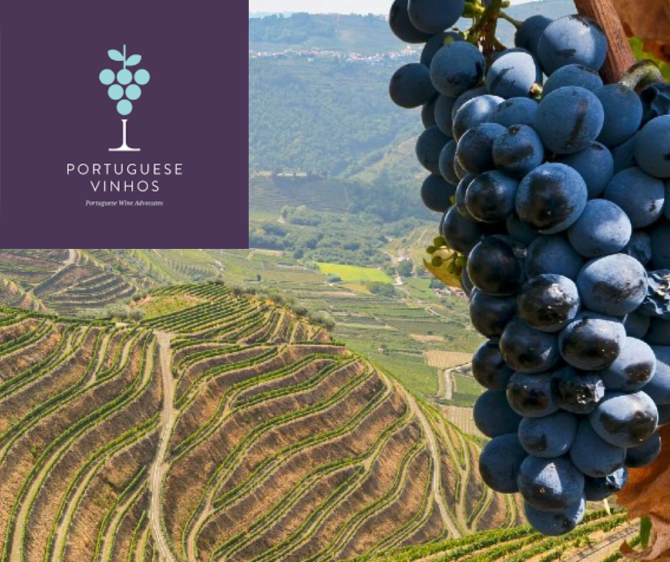 Portuguese Vinhos
