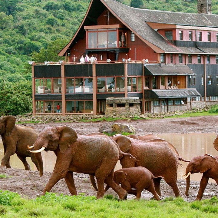 KenyaAberdareNationalPark