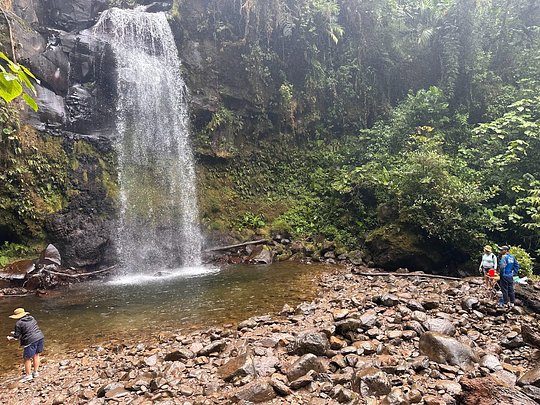Waterfall Hike