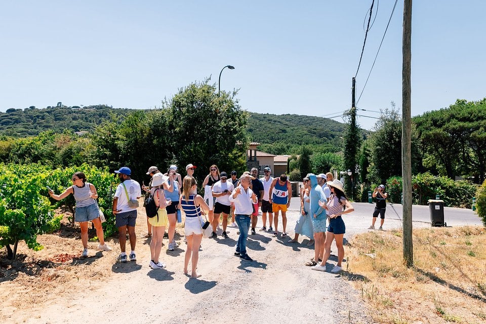 An SYB group with bikes in a vineyard in Provence