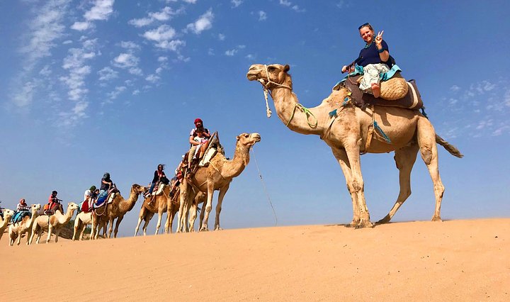 groupridingcamels