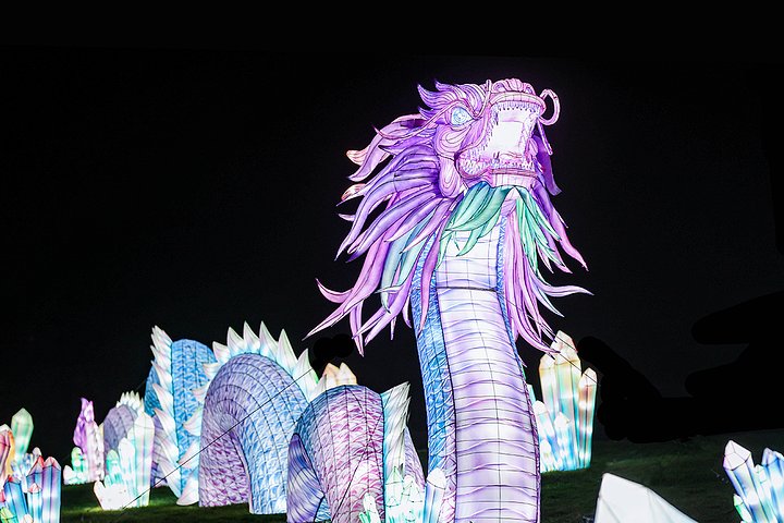 LightopiaFestivalALTNSmgalleryimg1