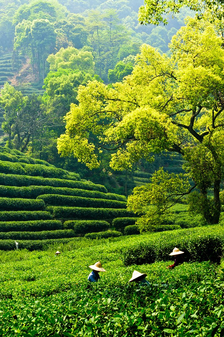 iStock524153233