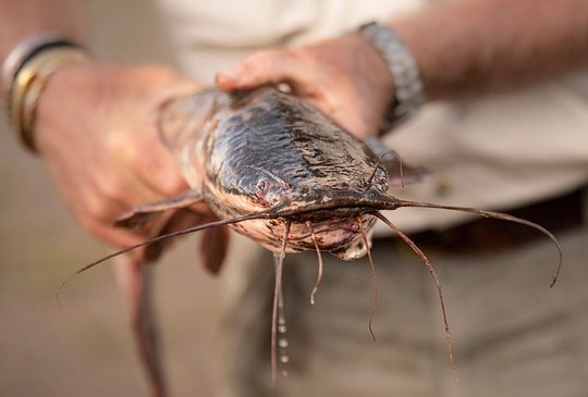 Fishing Adventures in the Wild