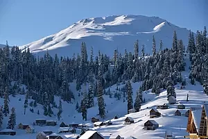 mubiphotosnowcatskigeorgie_45