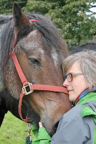 Horse