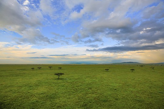 The great Serengeti