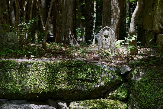 Discover Aman Kyoto's Hidden Garden