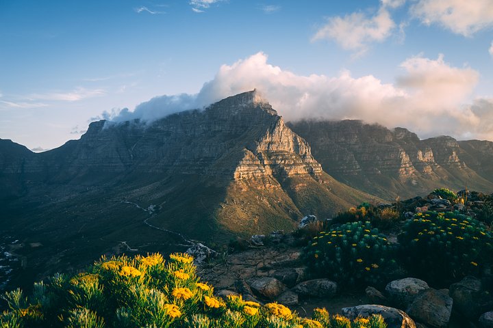 tobiasreichJE56S222Rw0unsplash