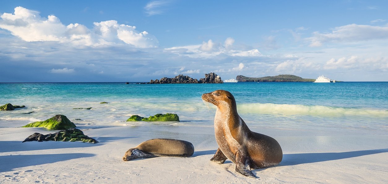 The Galápagos Islands