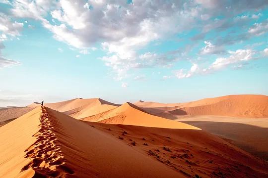 Revel in the mountains of red sand, some of the highest in the world