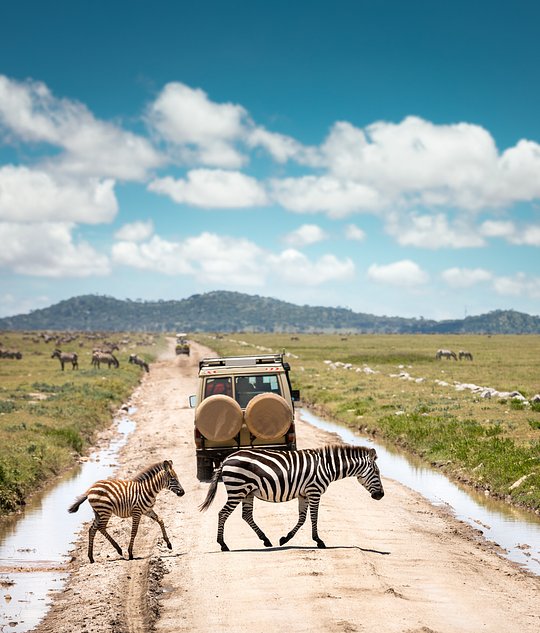 Enjoy a grand safari in three diverse game parks