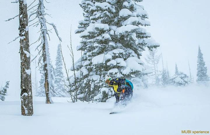 snowcatskifreeridekazakhstanaltai8