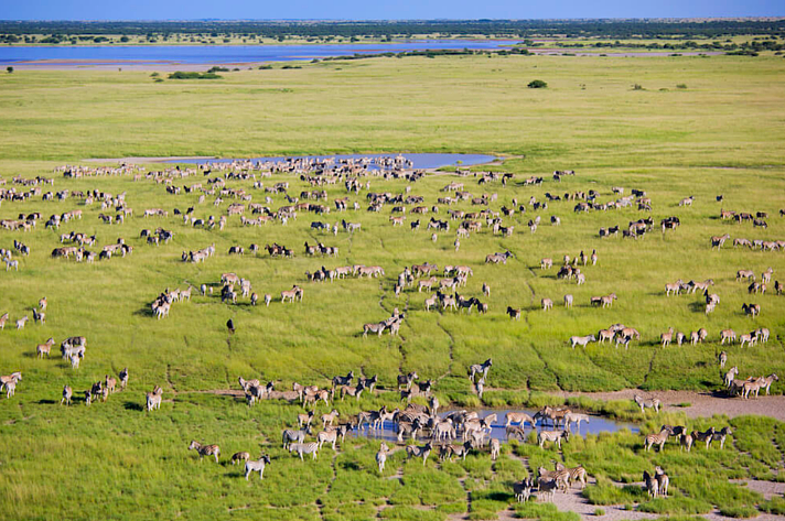 The Okavango Delta