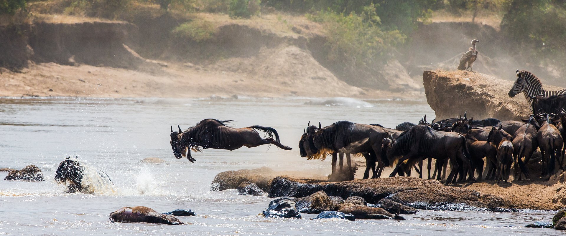 Kenya and Tanzania - An Epic Wildlife Safari in East Africa