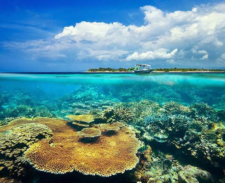 Scuba Diving Open Water Course