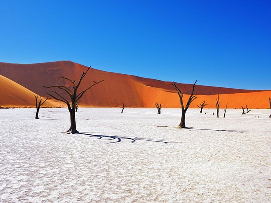 Witness the iconic Deadvlei, a salt & clay pan with 900 year old trees