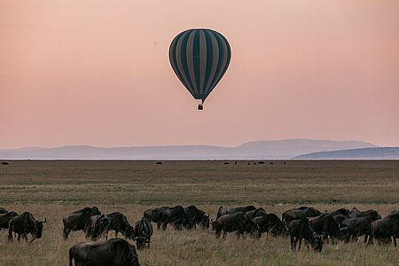 balloonsafari