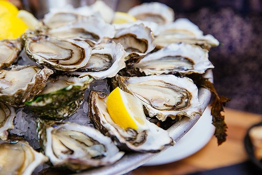 Sample Arcachon oysters