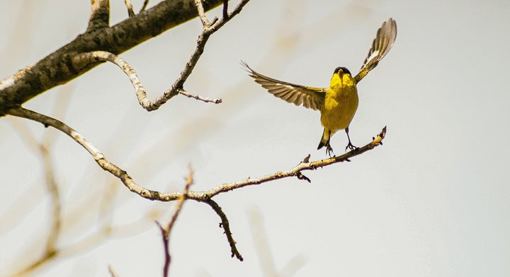 lucianikN6MJTtWxq04unsplash