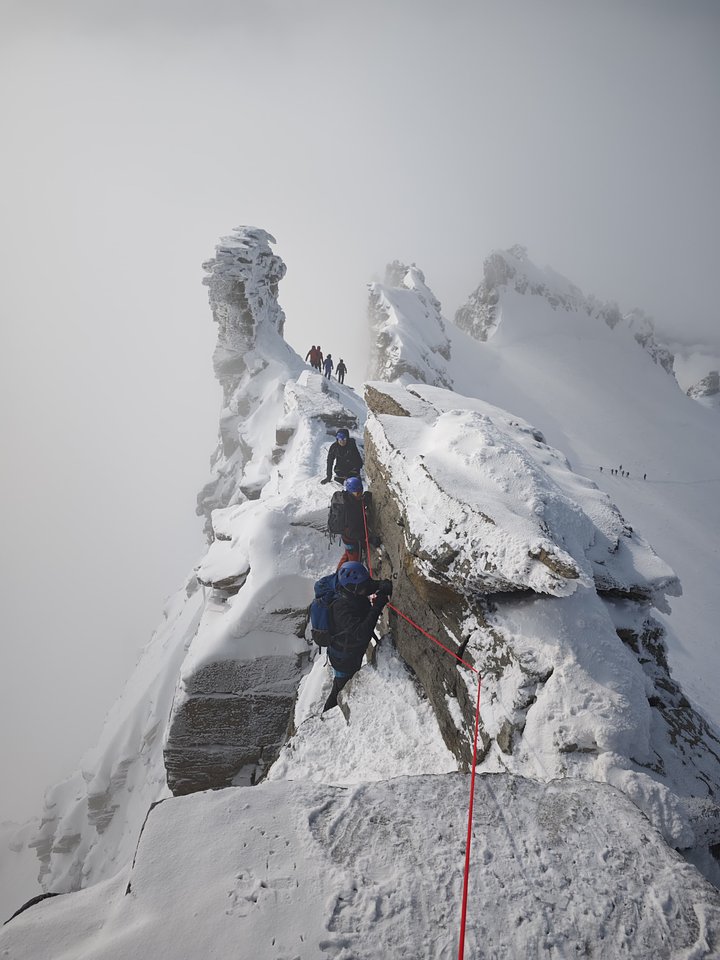 granparadisokookoo7