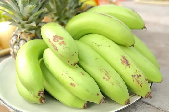 Fresh & Healthy, 