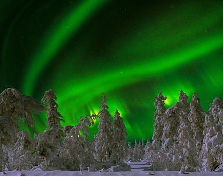 Northern Lights
