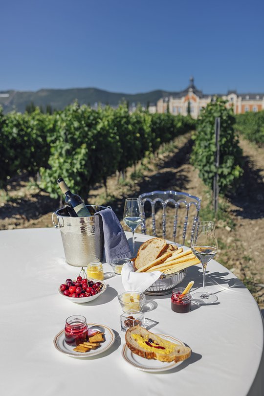 Picnic gourmet en los viñedos