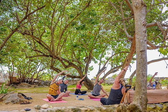 Yoga, Pilates, and Meditation