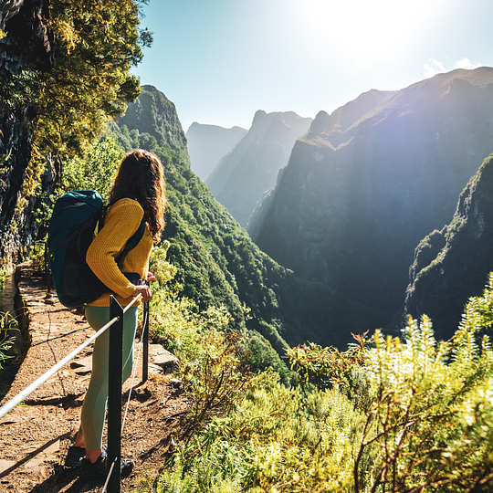 Guided Hikes