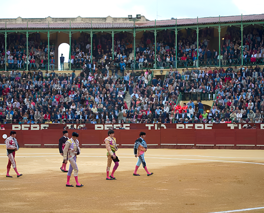 Opción de asistir a los toros