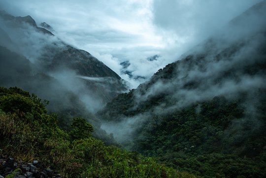 5 Days Ayahuasca Retreat with Meditation & Volunteering Experience